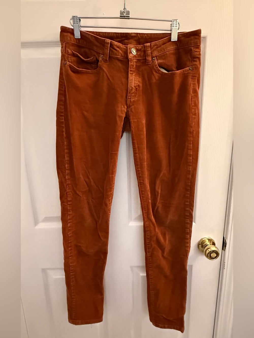 Patagonia Women's Corduroy Skinny Pants in Rust Orange